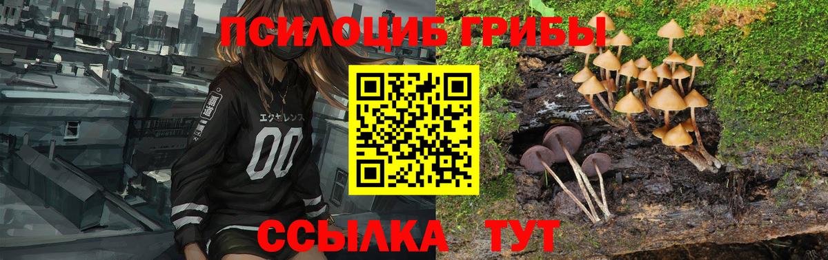 Елизово  Псилоцибиновые грибы прущие грибы  Вход с VPN 